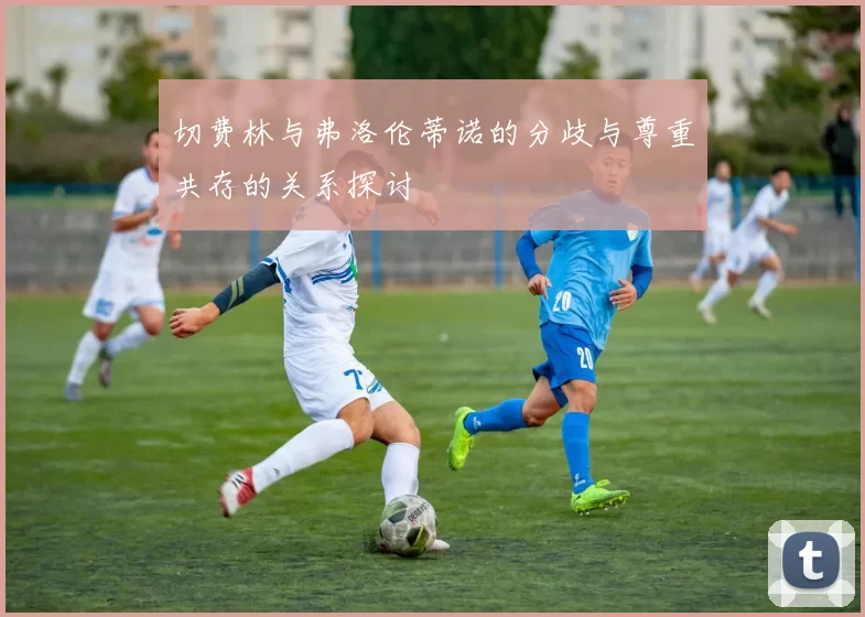 切费林与弗洛伦蒂诺的分歧与尊重共存的关系探讨
