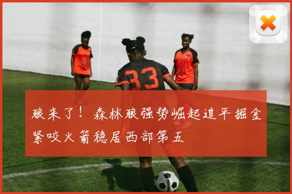 狼来了！森林狼强势崛起追平掘金紧咬火箭稳居西部第五